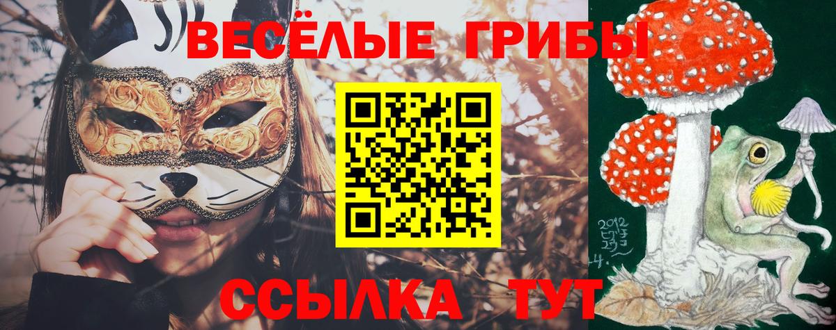 Галлюциногенные грибы мухоморы Алатырь