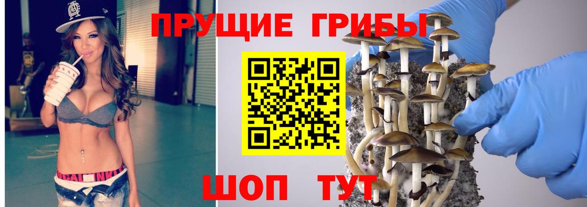 Алатырь  Галлюциногенные грибы ЛСД  Псилоцибиновые грибы ЛСД  Вход с VPN 